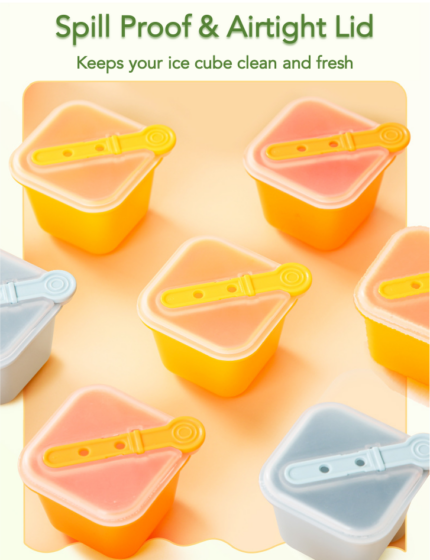 Large Ice Cube Molds with Lids and Popsicle Sticks - Set of 6